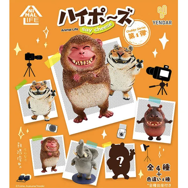 Child Entertainment Animal Life - Chubby Series Say Cheese (Set of 6)