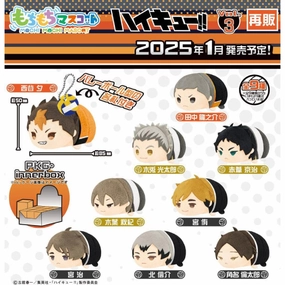Desert Adaptation Mochimochi Mascot Haikyu!! Vol.3 (Set of 9) ???????? ??? ?i??