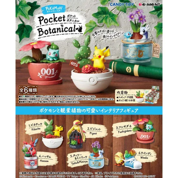 Flower Anatomy Pokemon Pocket Botanical Box Set (Set of 6)