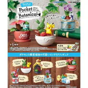 Flower Anatomy Pokemon Pocket Botanical Box Set (Set of 6)