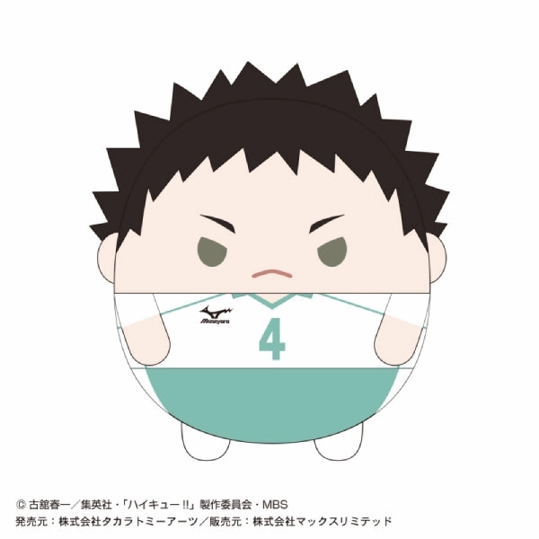 Haikyu!! ???????? Fuwakororin Msize 4 (7 variants) Frequency Measurement