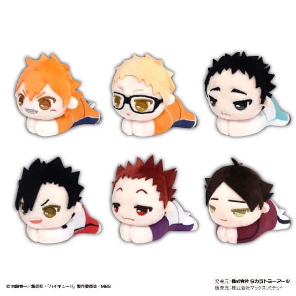Maturity Reach Haikyu!! ???????? Hug Character Collection 5 (set of 6)