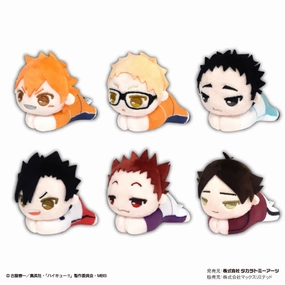 Maturity Reach Haikyu!! ???????? Hug Character Collection 5 (set of 6)