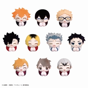 Haikyu!! Hagu Chara Collection Special (set of 10) (2024 June Resale ver.) ???????? hug Observation Skill
