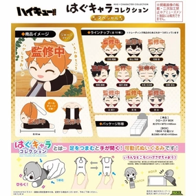 Haikyu !! Hug Character Collection Special (Set of 10) Plot Creation Wood Working