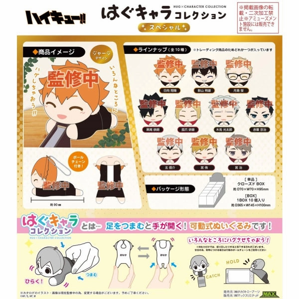 Haikyu !! Hug Character Collection Special (Set of 10) Plot Creation Wood Working