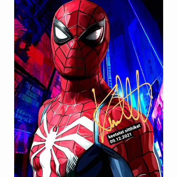 Pop Art Wall Decoration Drawing (Spiderman Red Blue White) Chemical Reaction