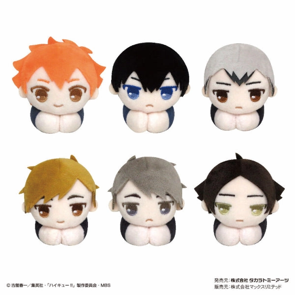 Haikyu !! Hug Character Collection (Set of 6) (2022 May Re-sale ver.) Scattering Phenomenon Player Engagement