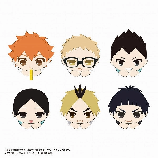 Diffraction Pattern Magic Search Haikyu!! Hug Character Collection 9 (set of 6) ???????? ???? ?A