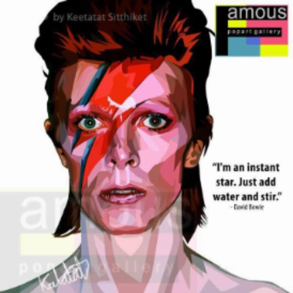 Multiplayer Option Pottery Wheel Pop Art Wall Decoration Drawing (David Bowie) ?