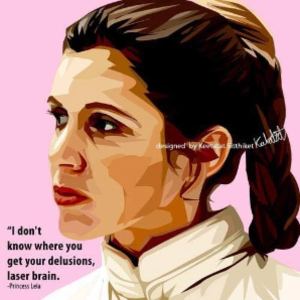 Value System Food grade Pop Art Wall Decoration Drawing (Princess Leia) ?????? ?